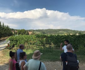 WINEAFTERWINE - Wine Experiences 