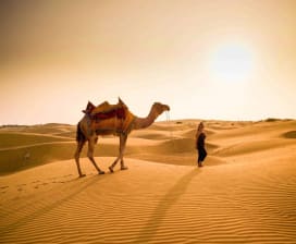 Golden Tours And Events  