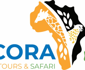 Ancora Mufambi Safari & Tours 