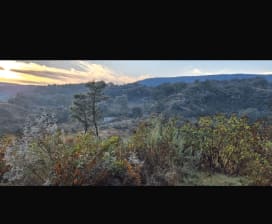 Carlos  García Buenrostro 