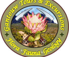 Gantouw Tours And Excursions 