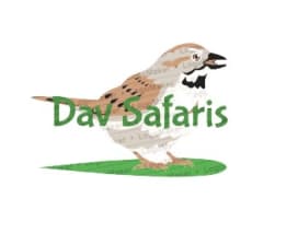 DAV SAFARIS 