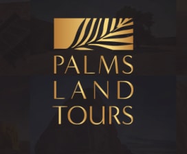 Palms Land  