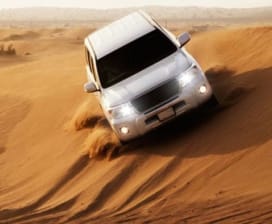 Desert Trip Tourism LLC 