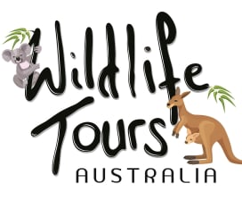 Wildlife Tours Australia - Get Lost Travel Pty Ltd 