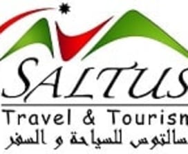 Saltus Travel & Tourism  