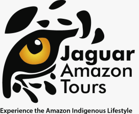Jaguar Amazon Tours 