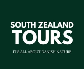 South Zealand Tours 