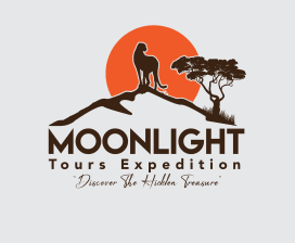 Moonlight Tours Expedition  