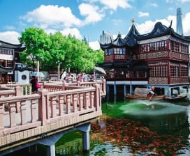 Sunny  Amazing Tours