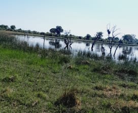 BBENJAMIN TSHISIMOGO