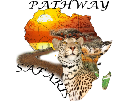 Pathway safaris 