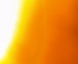 Pere Joan Gelabert Torrens