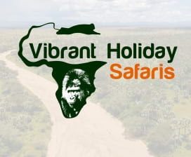 Vibrant Holiday Safaris 