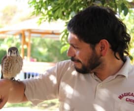 Mauricio Martinez Hurtado