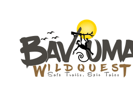 Bavuma Wild Quest 