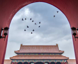 Lotto Holiday International Travel  