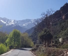 Abdou Morocco  Tours