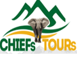 chiefstours  company african mountain and safaris