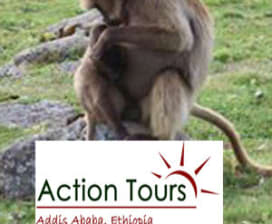 Actiontours Ethiopia