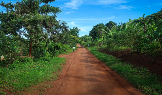 City Image