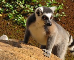 Private Local Guides Guided Tours In Antananarivo Tourhq See these phrases in any combination of two languages in the phrase finder. private local guides guided tours in