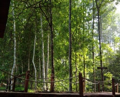 Private Local Guides Guided Tours In Taiping Tourhq