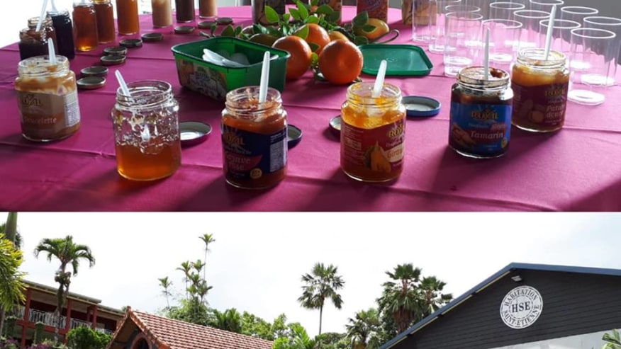 Fort De France 8 Hours Private Tour Package Food And Drink Rural Experience And Distillery Tourhq