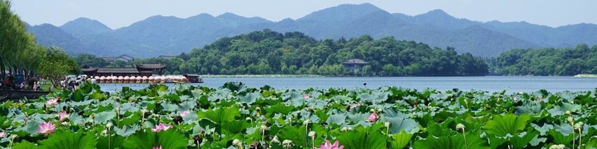 Md Mahbubur Rahman Private Tour Guide In Hangzhou China Tourhq We were very impressed with the quality of service provided by china tour guide. tourhq