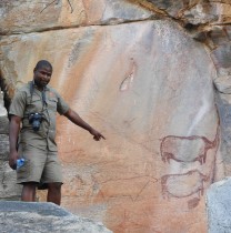 olefilekopang-maun-tour-guide