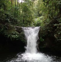 visayantropics-cebu-tour-guide