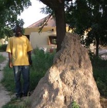 stephanebarro-ouagadougou-tour-guide