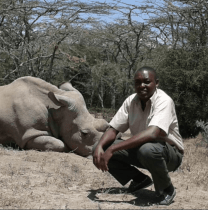 anthonymule-nairobi-tour-guide