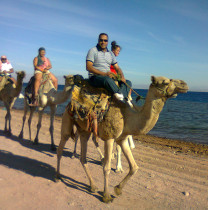 tareksultan-sharmelsheikh-tour-guide