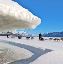 bertrandbellencourt-whitehorse-tour-guide