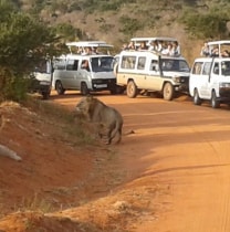 katamatsuma-malindi-tour-guide