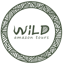 wildamazotoursexpedition-manaus-tour-guide