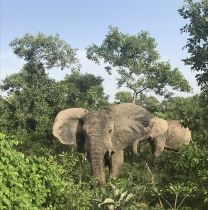 nanadanmichael-accra-tour-guide