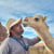 shaheralbalawi-tabuk-tour-guide
