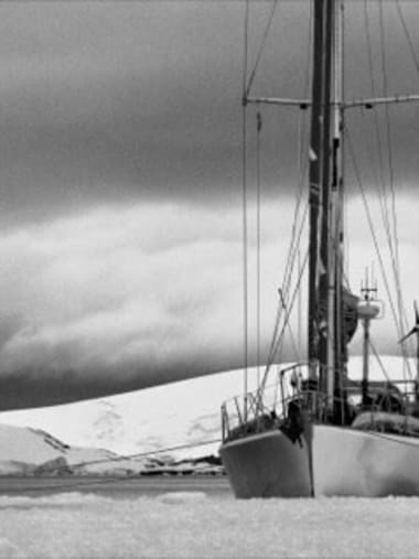 License Image