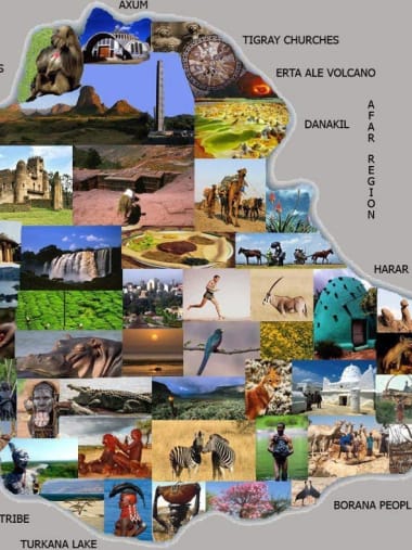 License Image