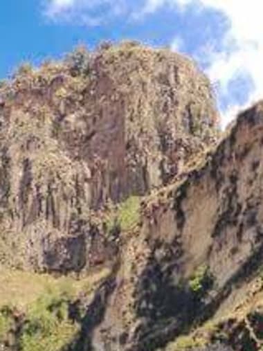 License Image