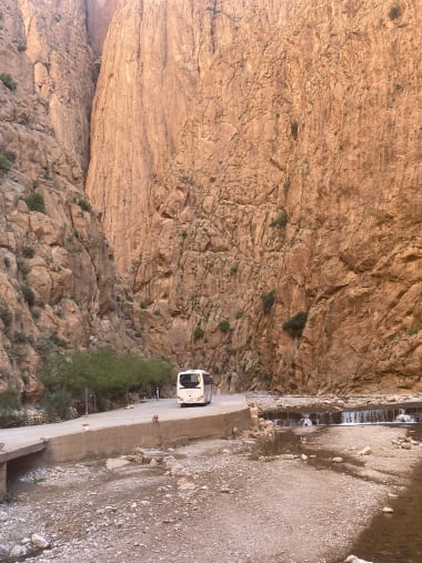 License Image