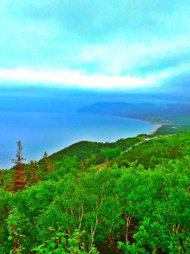 License Image