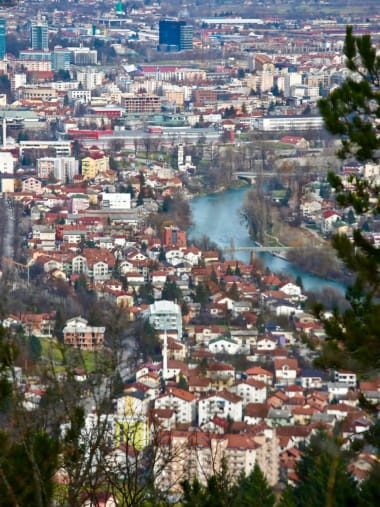 License Image