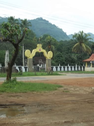 License Image