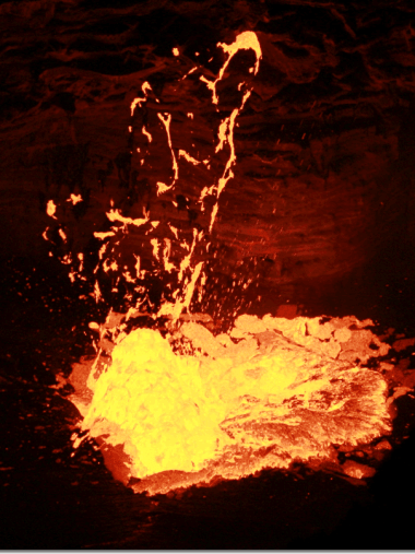 License Image