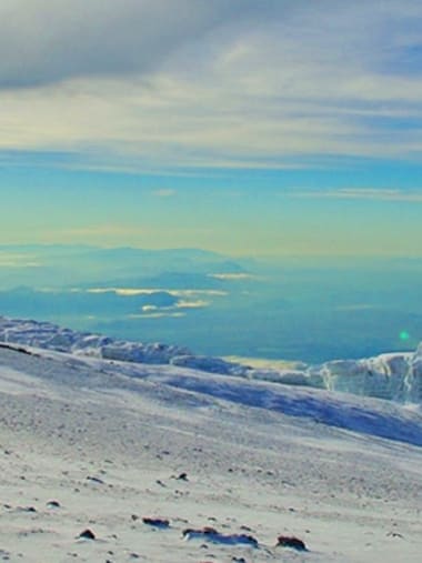 License Image