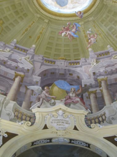 License Image