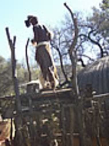 License Image